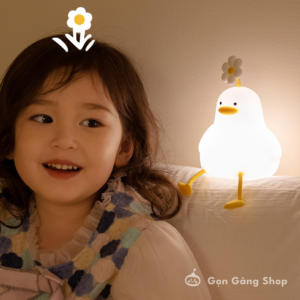 Đèn ngủ và những điều bạn cần biết