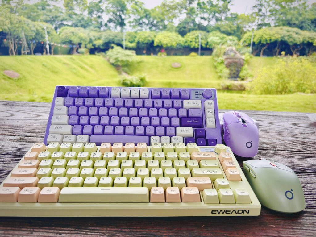 combo bàn phím chuột Eweadn Q