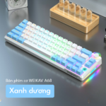 V – 01