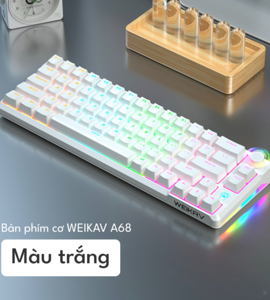 V – 04