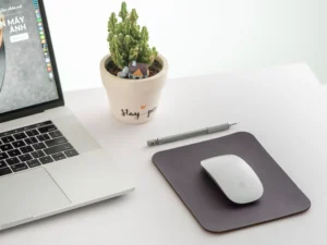 Vì sao lại cần lót chuột? Lợi ích và mẹo làm sạch lót chuột