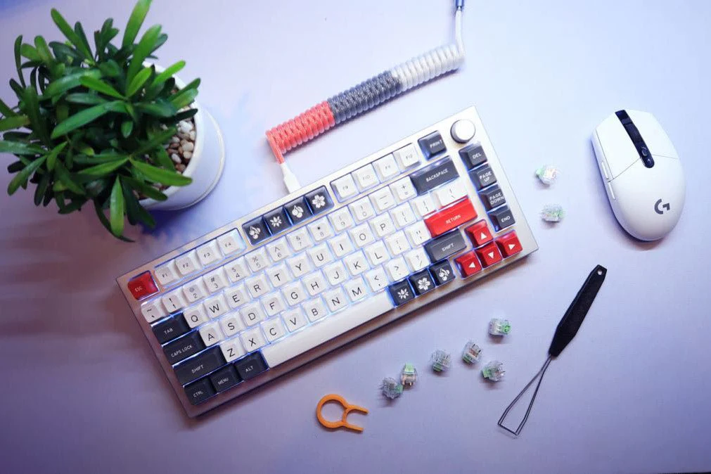 Bàn phím cơ custom
