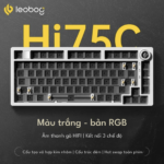 Ban phim Leobog Hi75c – V05