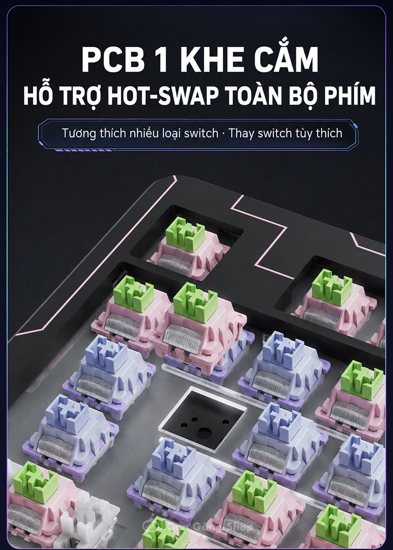 Bàn phím cơ Lingbao K87