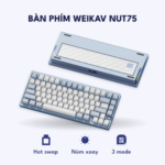 Bàn phím Weikav Nut 75 – Xanh ta thep